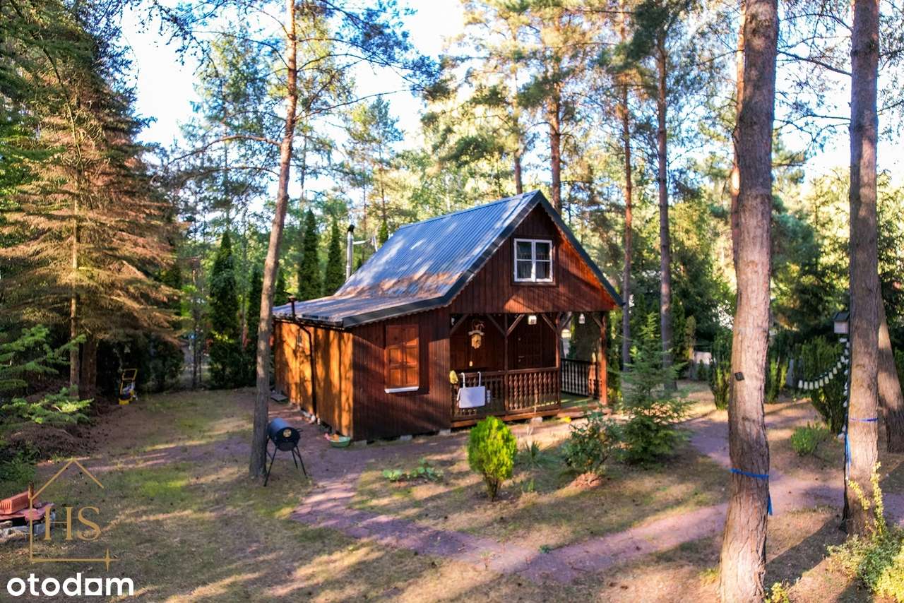 Urokliwa działka ROD "SOSENKA"  – idealne miejsce na rodzinne wypady!-0