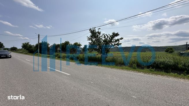 Teren intravilan de vânzare, Sat Prisaca, Com. Berești Tazlău-6