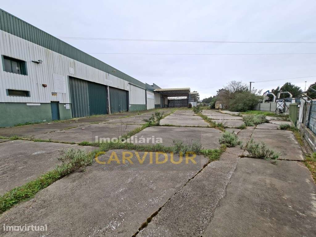 Armazém Industrial de Grande Dimensão - Parque Industrial da Mitren...-21