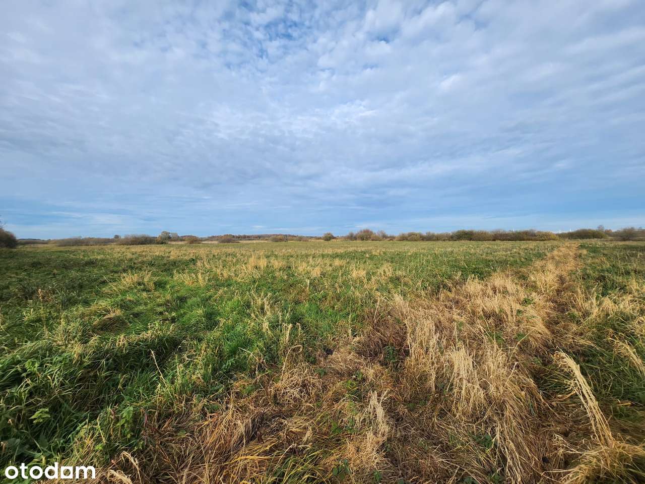 Działka budowlana 1610 m2 – Borzyszewo k. Gryfic – 55 000 zł.-2