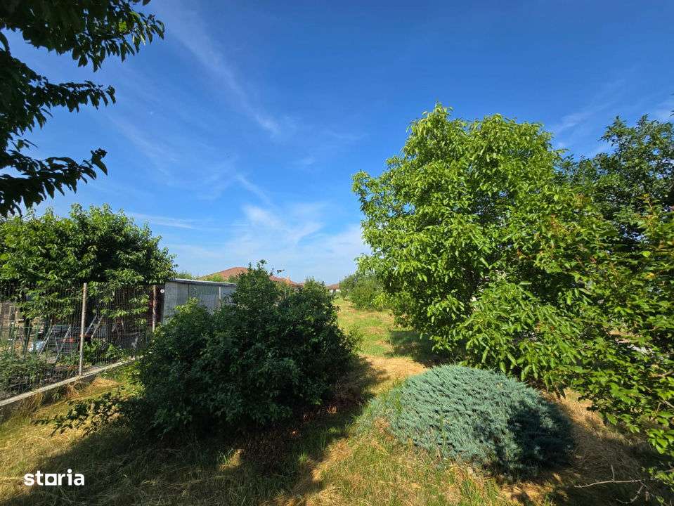 Casa + teren 2000 m² de vanzare, sat Sasar, zona foarte linistita - Imagine principală: 5/8