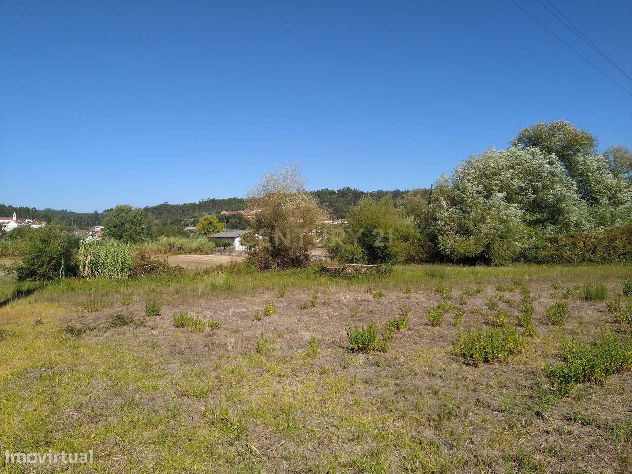 Terreno para moradia em Vermoil. - Grande imagem: 5/20