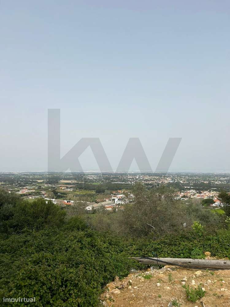 Terreno Urbano para Construção – Loteamento Exclusivo em Palmela - Grande imagem: 4/9