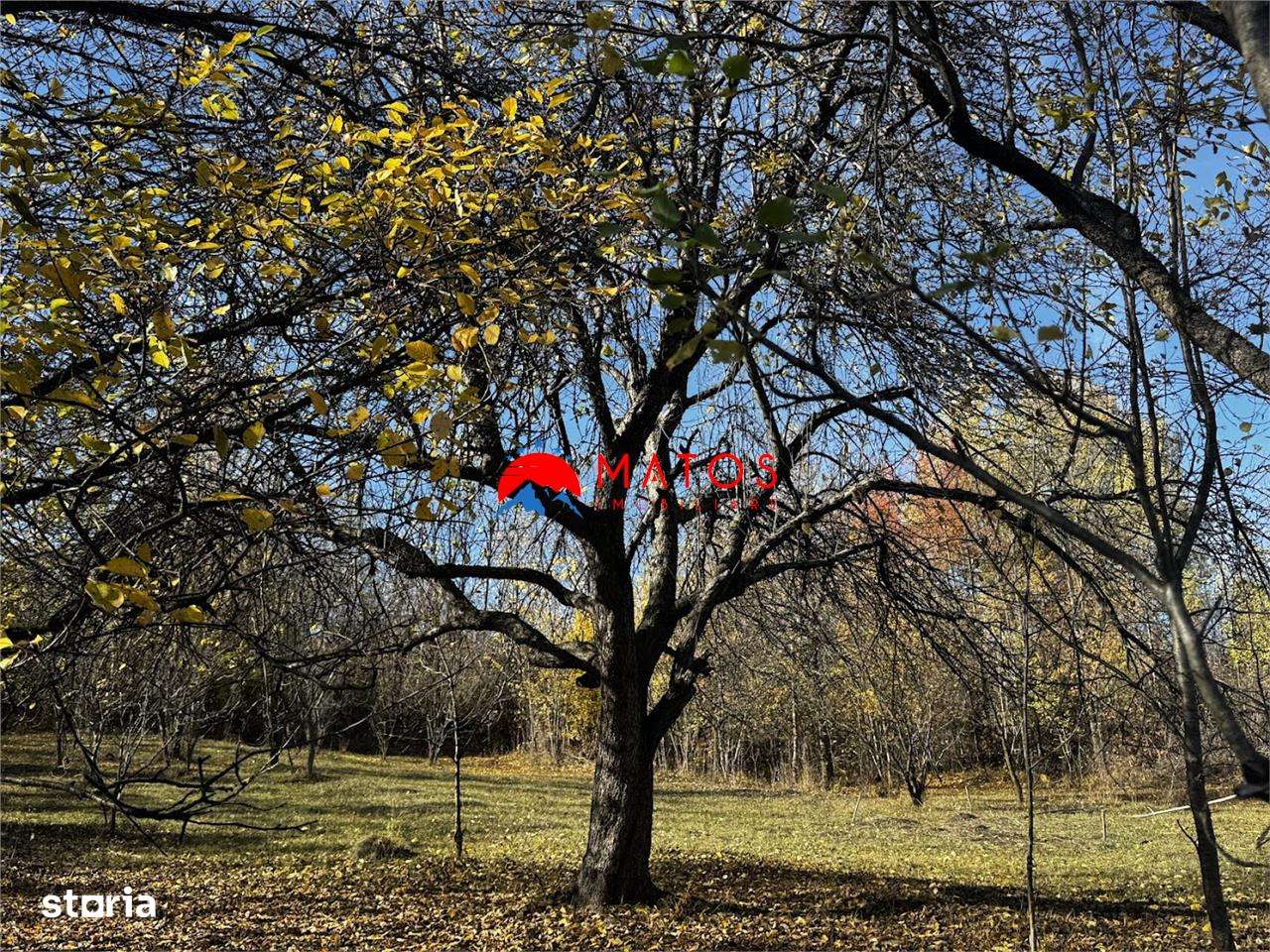 Teren intravilan 6.842 mp de vanzare in Poiana Campina, vedere placuta-10