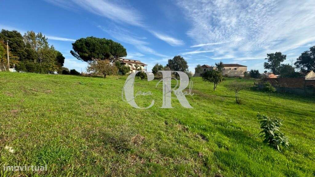 Terreno com viabilidade de construção - Grande imagem: 4/12