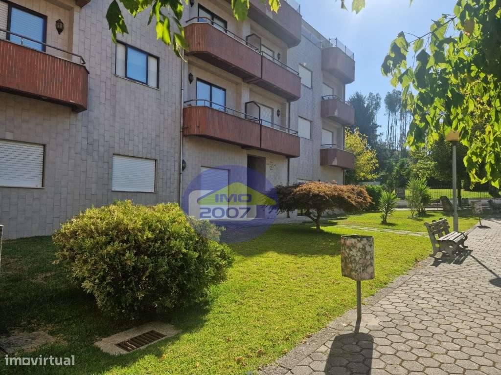 T3-Canedo-42