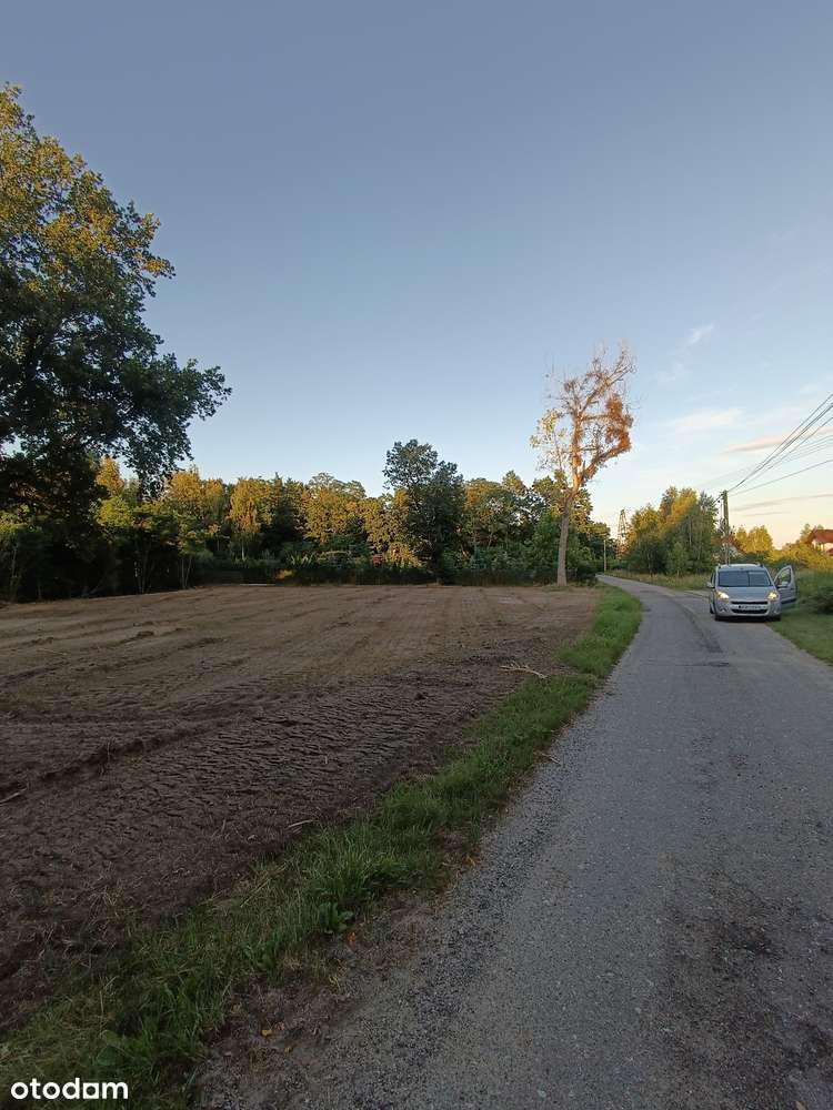 Puszcza Kampinoska. Kępiaste. Działka pod zabudowę siedliskową. - Pełny obrazek: 2/5