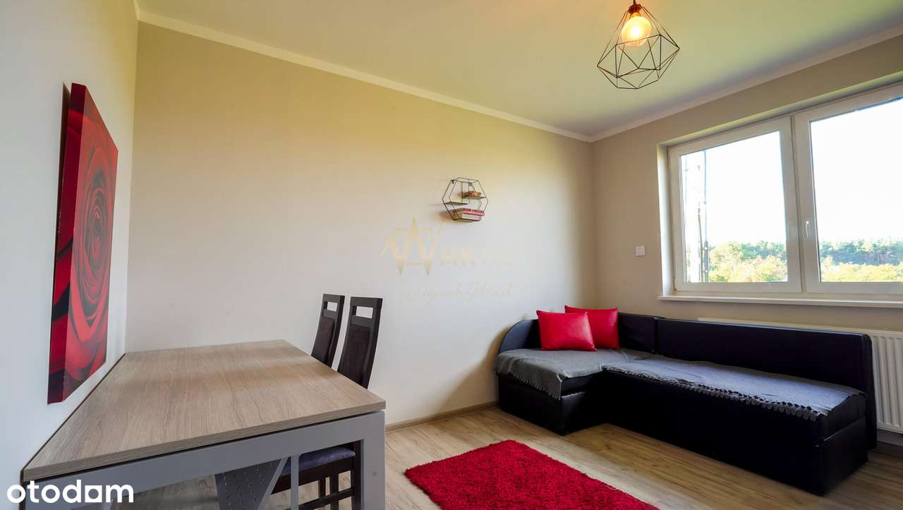 KOMFORTOWY DOM Z DUŻĄ DZIAŁKĄ W BORZĘCINIE!!!-8