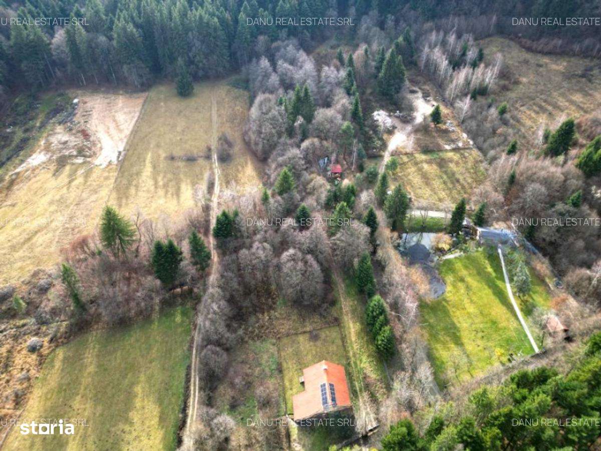 Teren intravilan2000mp în Vulcan BV–Oază de liniște -pădure si lacuri-7