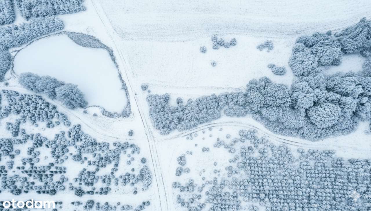 Działka, 61 800 m², Gryfów Śląski-8