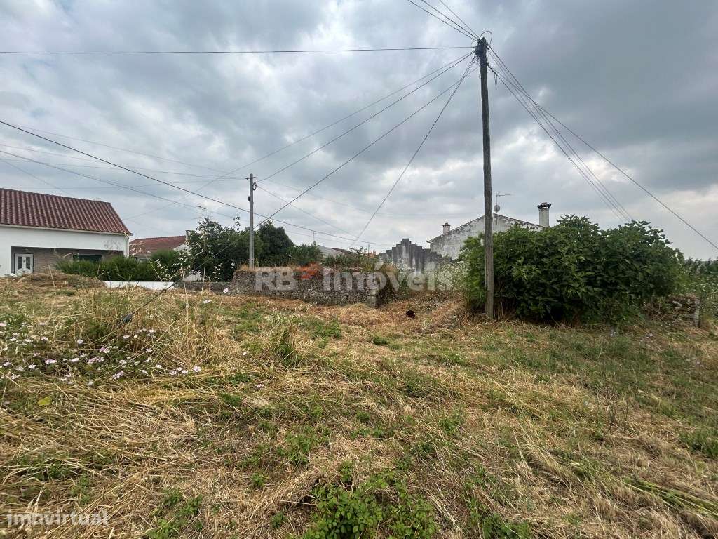 Terreno com ruína - Vila Nova de Paialvo, Tomar - Grande imagem: 4/19