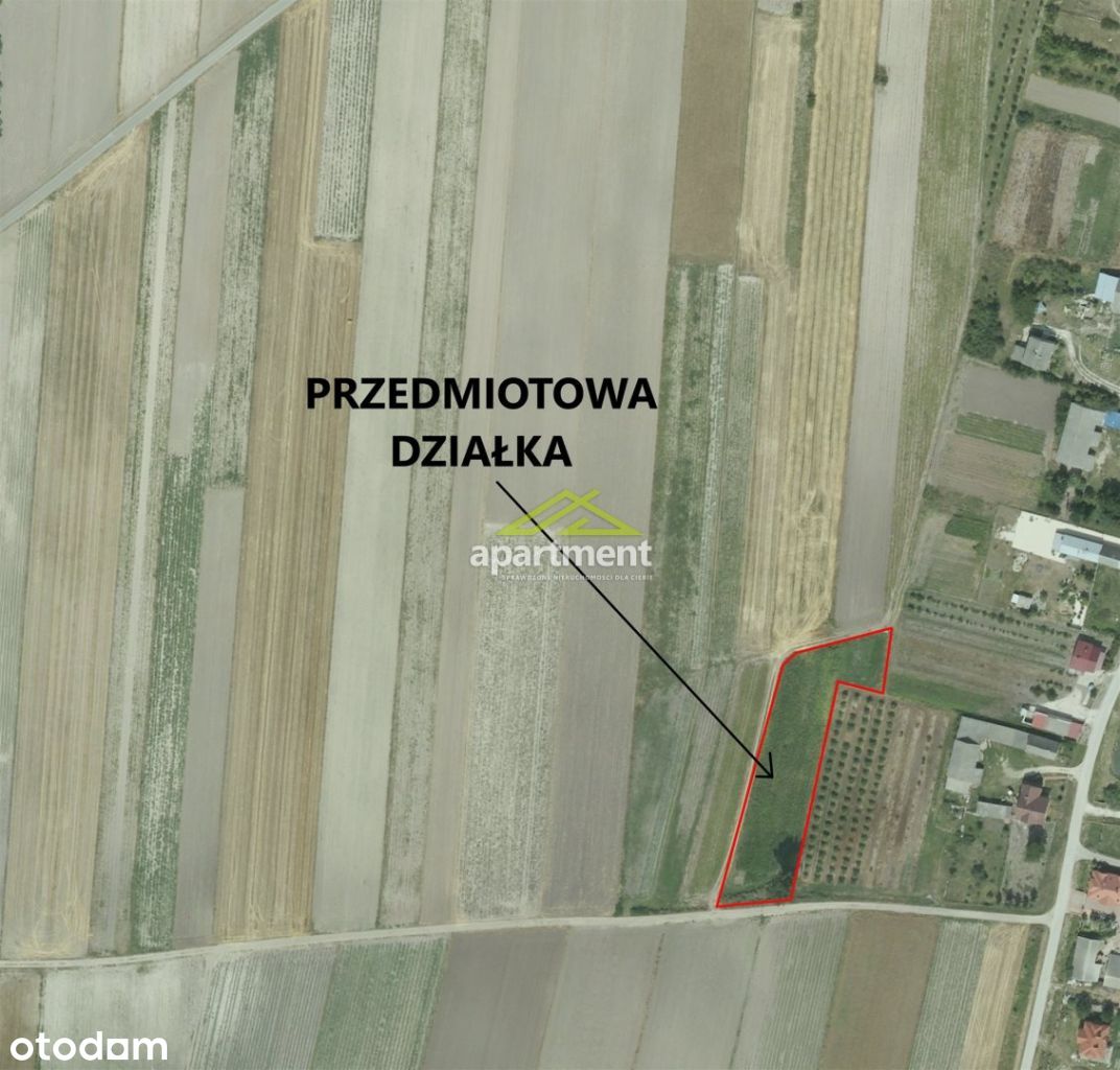 Działka, 2 900 m², Stopnica