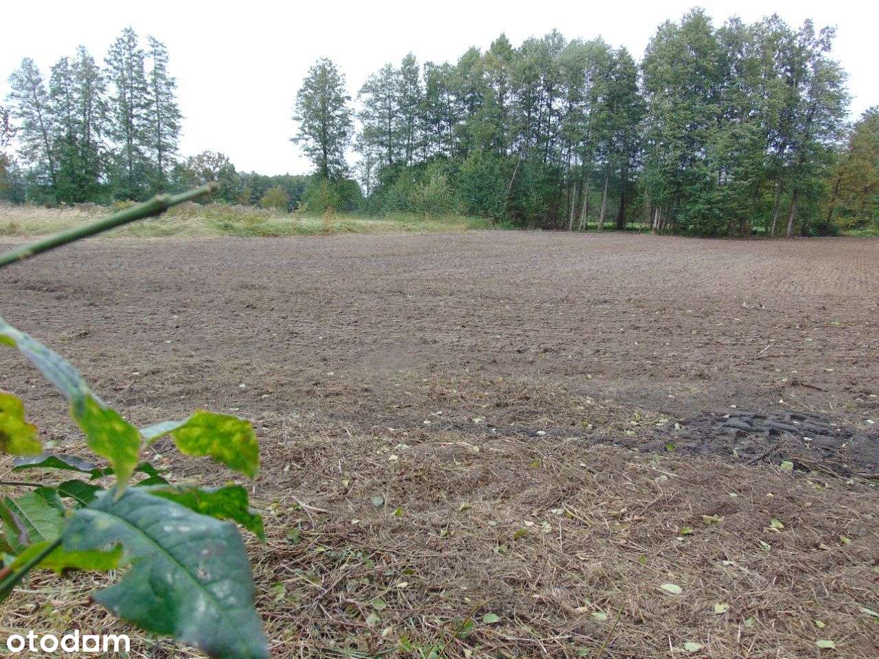 Działka bud.usł. Zielona Góra 1000/1210 m2 197, 50-1