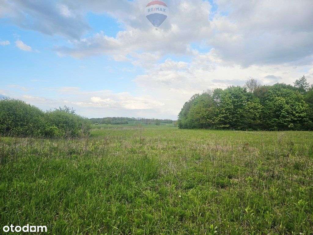 Ziemia rolna na sprzedaż – Dębnik k. Reszla - Pełny obrazek: 5/10