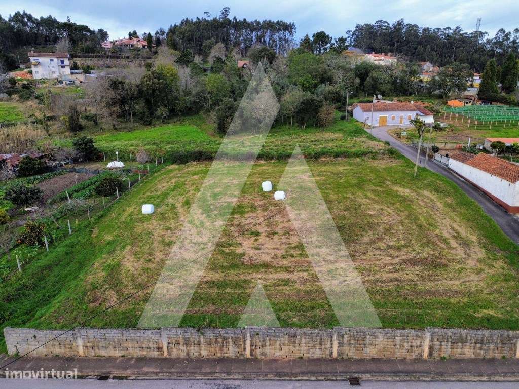 Terreno para Construção em São João de Loure - Grande imagem: 4/17