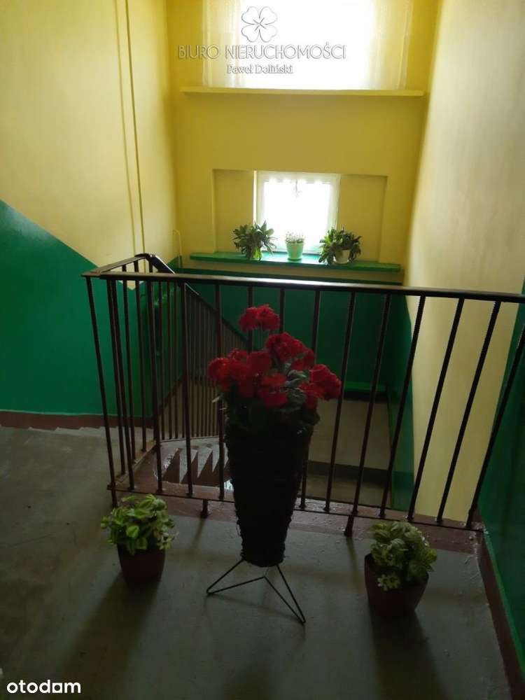 Przytulne mieszkanie w Klejnikach z ogródkiem-9