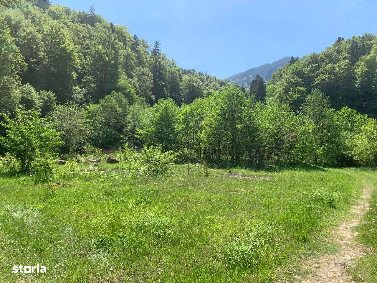 Teren, 5 579 m²,  - Imagine principală: 2/2