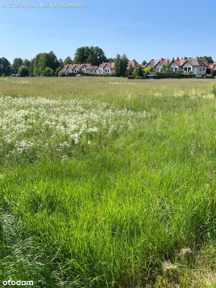 Białołęka, 2,76 ha, ok. 32 budynki dwulokalowe-1