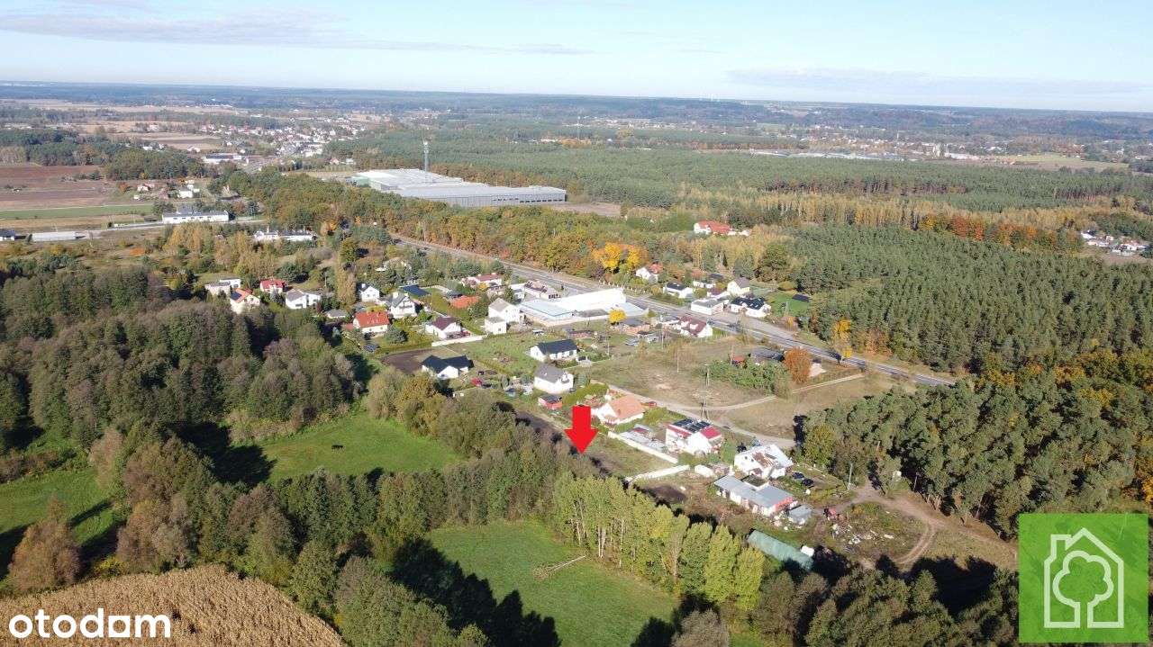 Działka, 3 354 m², Pędzewo - Pełny obrazek: 5/14