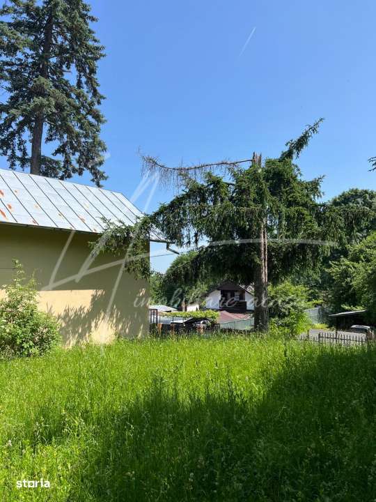 Teren intravilan 1740 mp. cu casa intabulata in PH-PROVITA DE SUS-16