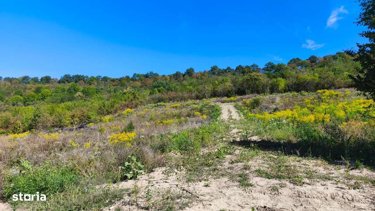Corunca - 650 mp cu PUZ - zona superba si linistita - Imagine principală: 4/5