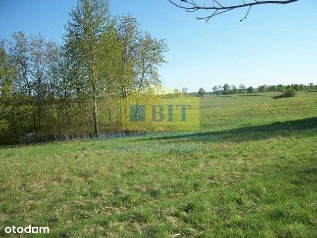 Działka 2,19 ha, przy jeziorze Drawsko-9