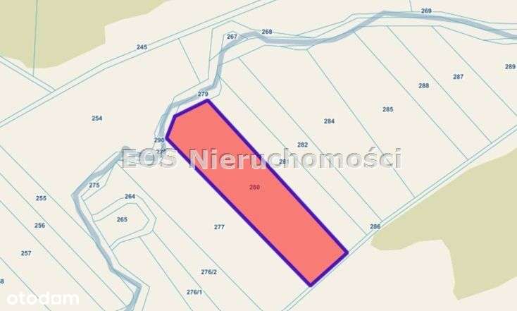Działka, 23 100 m², Kundzicze - Pełny obrazek: 5/5