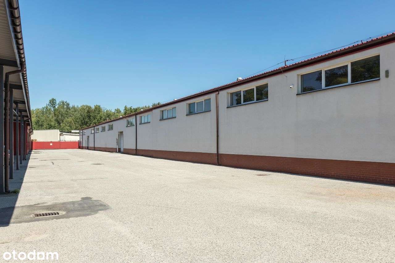 Magazyn, hala, lokal, sklep 1000 m² Szczucin - Pełny obrazek: 4/10