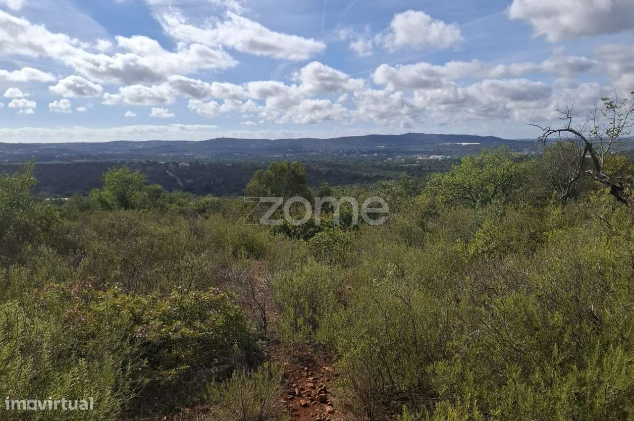 Terreno Rústico em Monte Brito com 18.390m2 - Grande imagem: 5/17