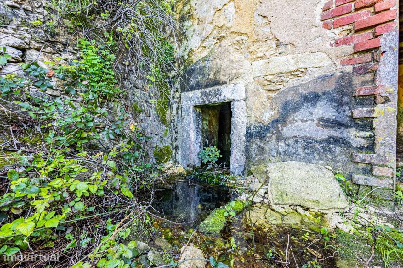 Quinta com 21 ha e várias construções perto de Santarém | Grande poten - Grande imagem: 5/60