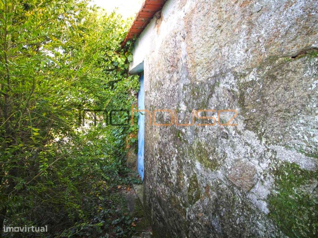 Quinta de 2ha com várias edificações - Terreno Plano-10