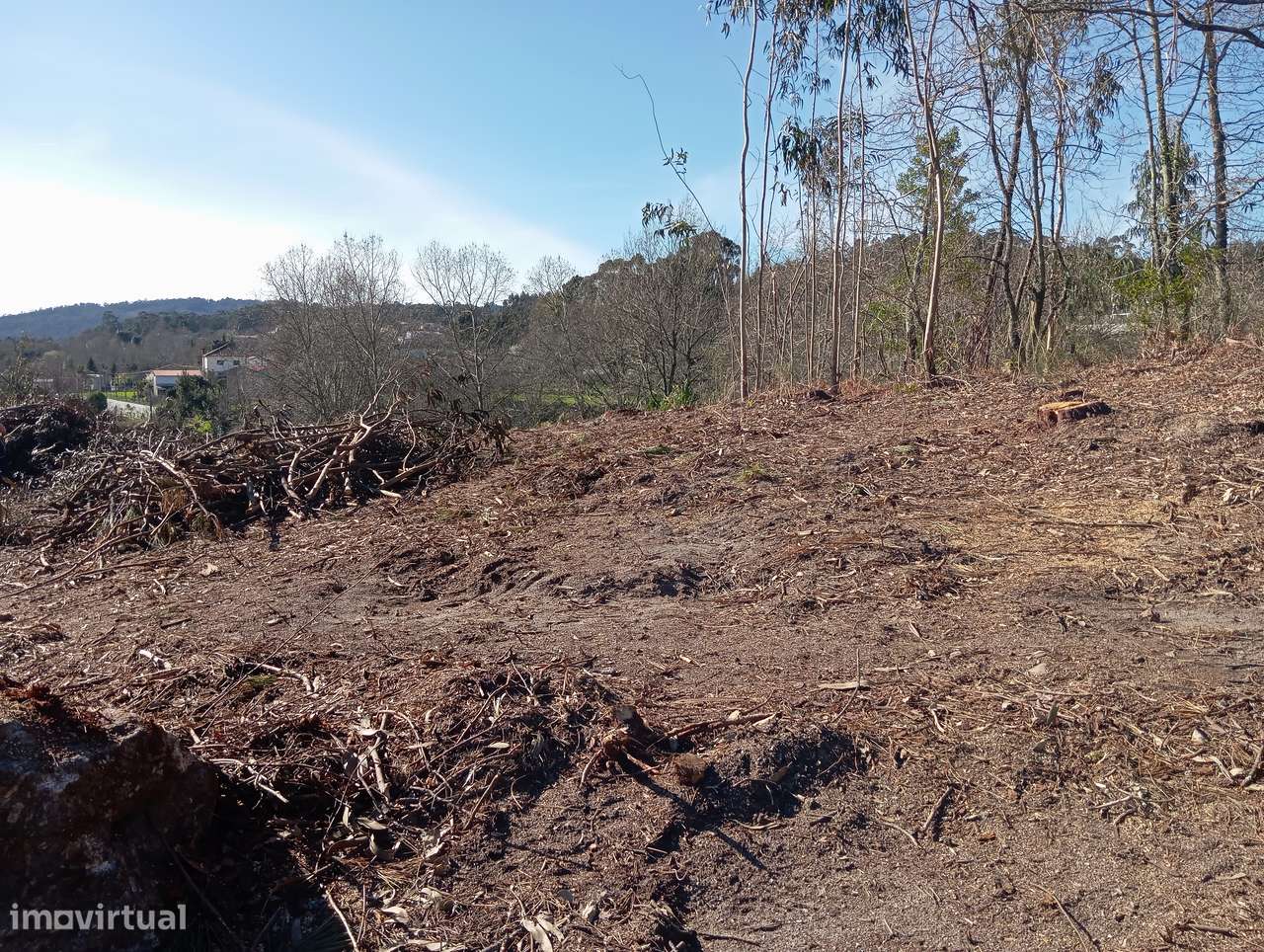 Terreno com 1 hectare em Vinhós, Fafe - Grande imagem: 5/16