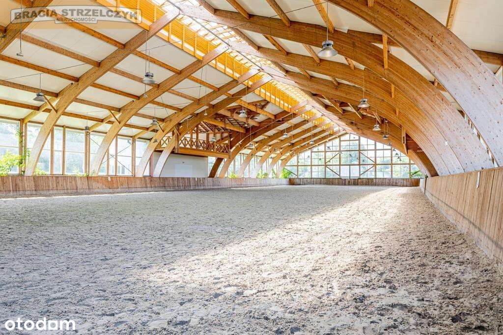 Funkcjonujący ośrodek jeździecki 35 km od Warszawy - Pełny obrazek: 5/14