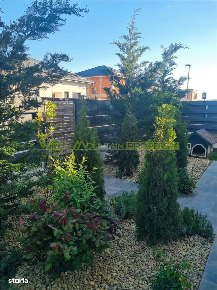 Buftea, casa 4 camere-15