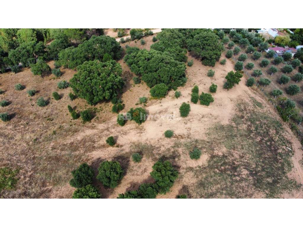 Terreno com 6 hectares, perto de Constância. - Grande imagem: 3/3