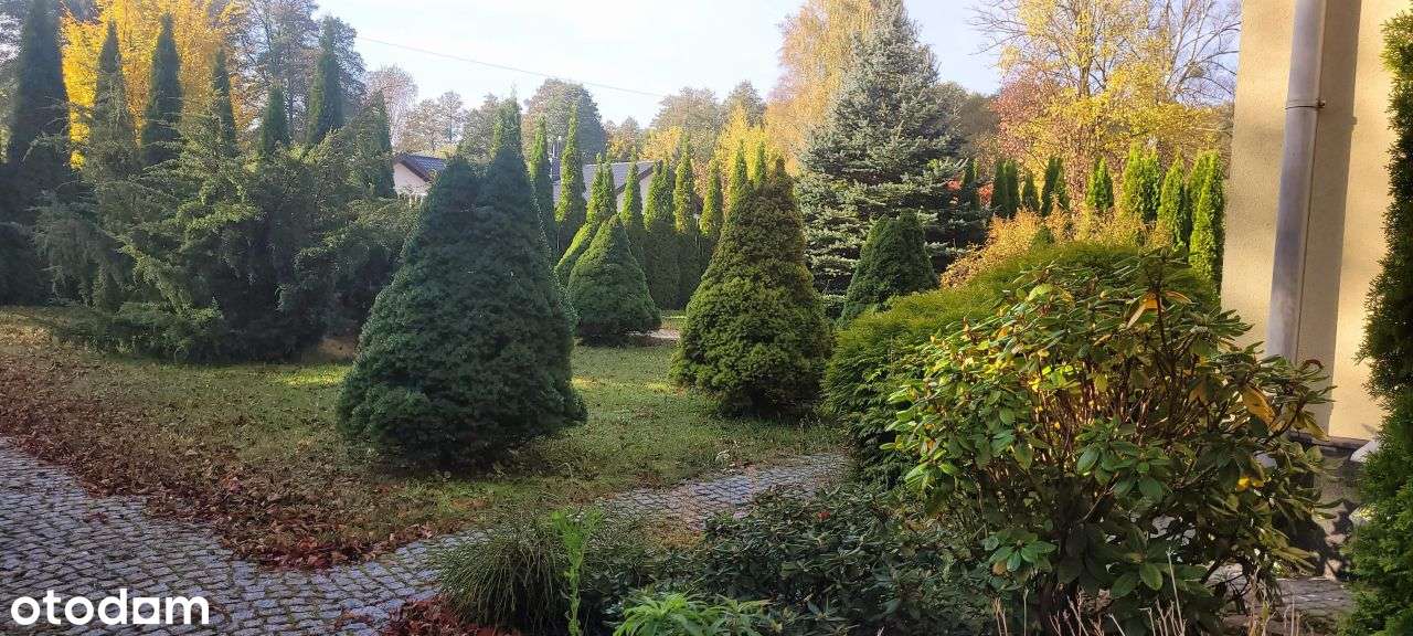 Wolnostojący Domw Malowniczym Pięknym Rejon - Pełny obrazek: 5/9