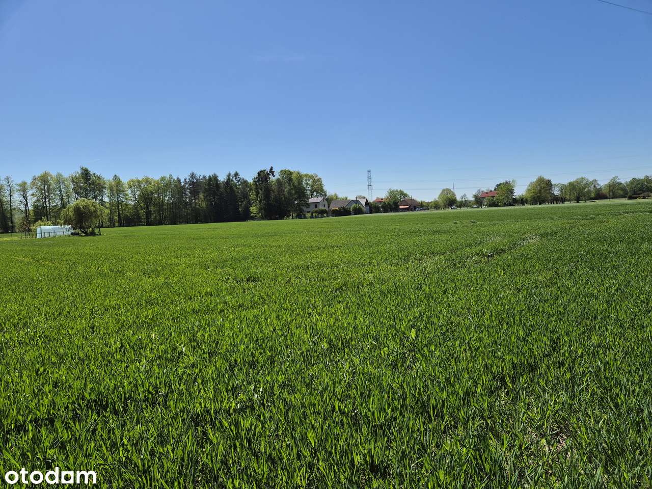 działka rolno-budowlana - Pełny obrazek: 4/18