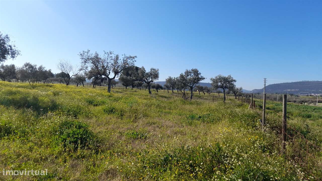 Quinta T0 Venda em Vila Velha de Ródão,Vila Velha de Rodão-6