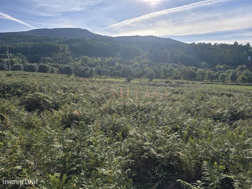 Terreno - Grande imagem: 3/7