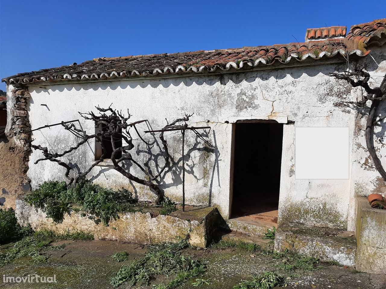 Terreno Rústico T1 Venda em Santa Clara-a-Nova e Gomes Aires,Almodôvar