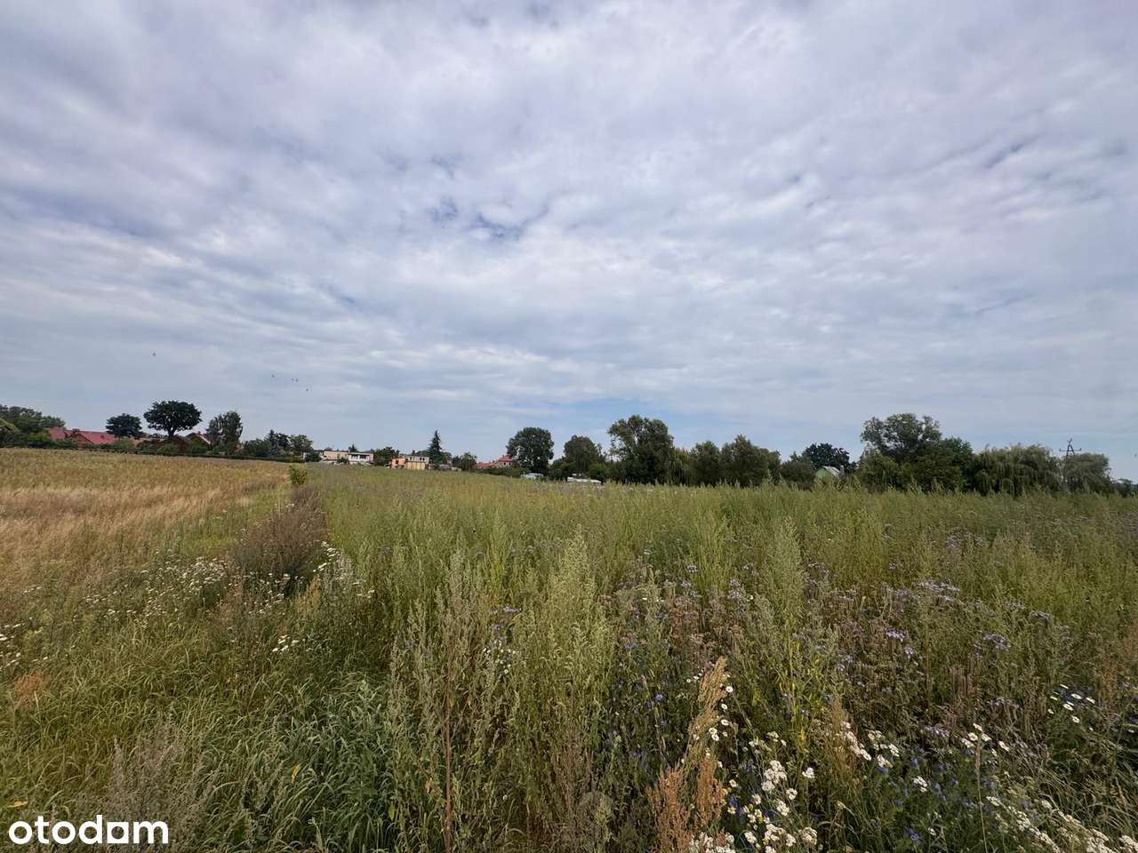 Duża działka objęta MPZP-0