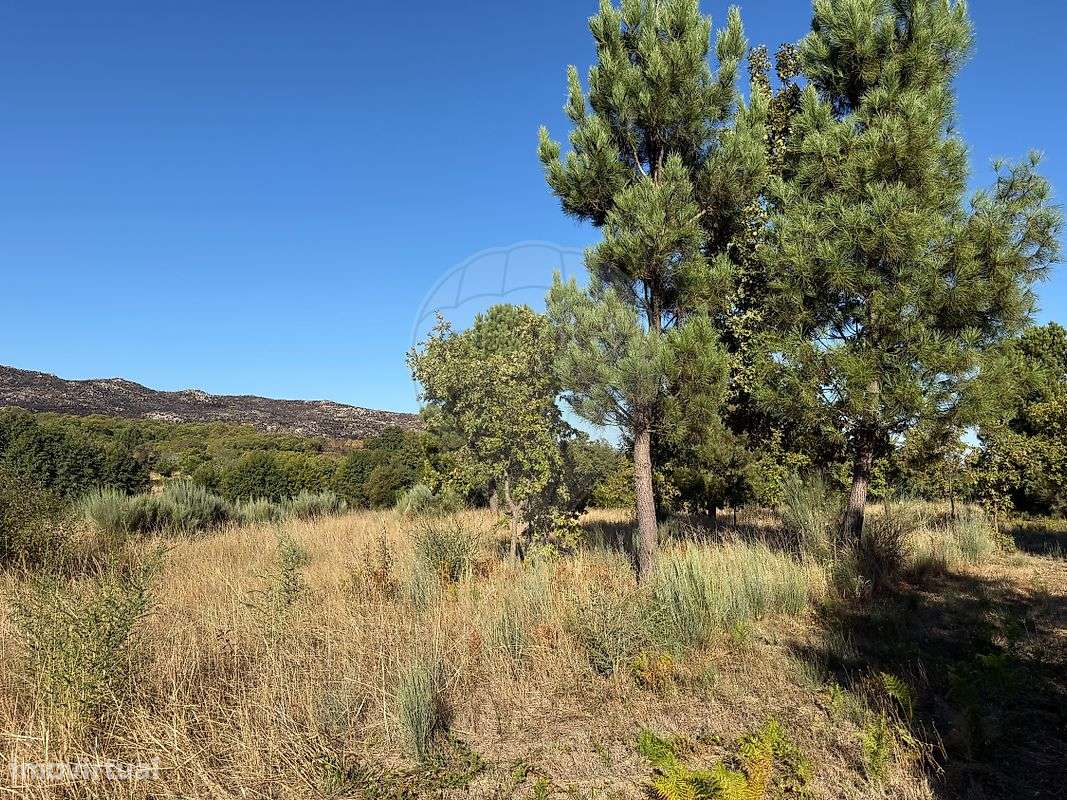 Terreno  para venda - Grande imagem: 5/5