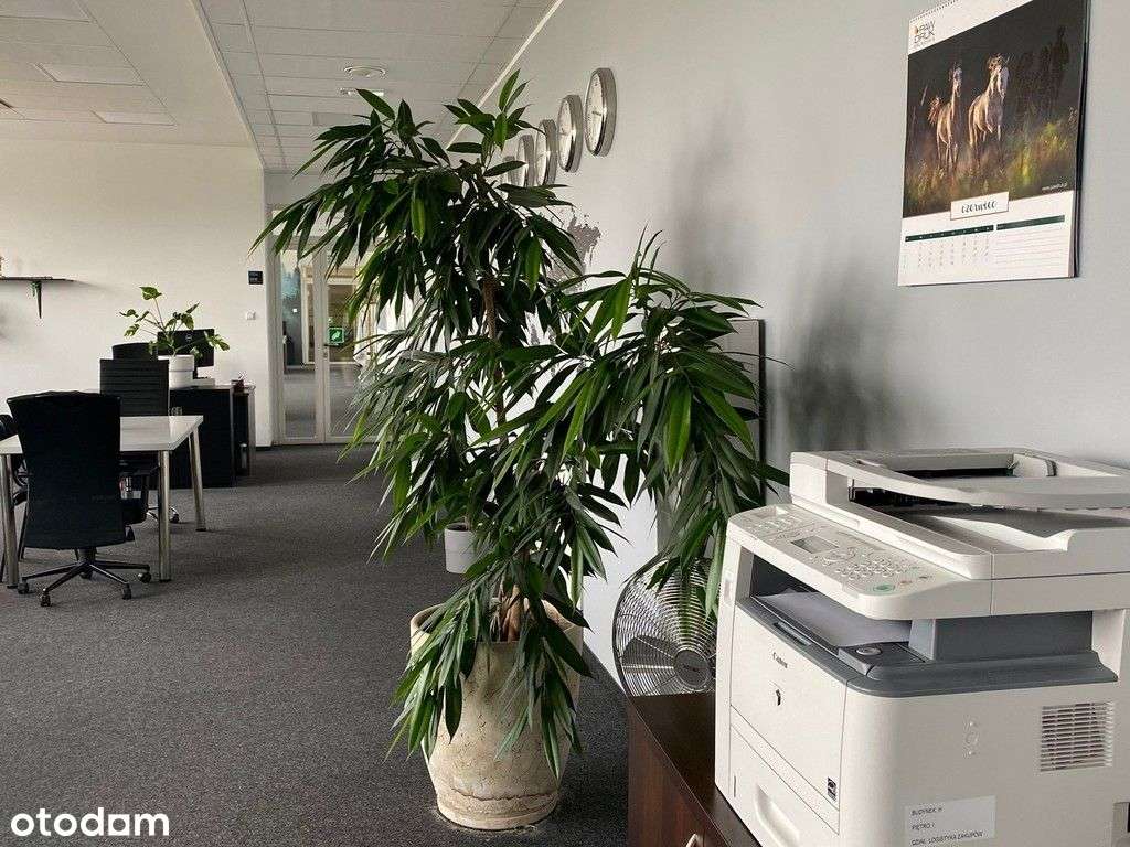 Poznań/Wysogotowo - biura w nowoczesnym biurowcu - Pełny obrazek: 4/12