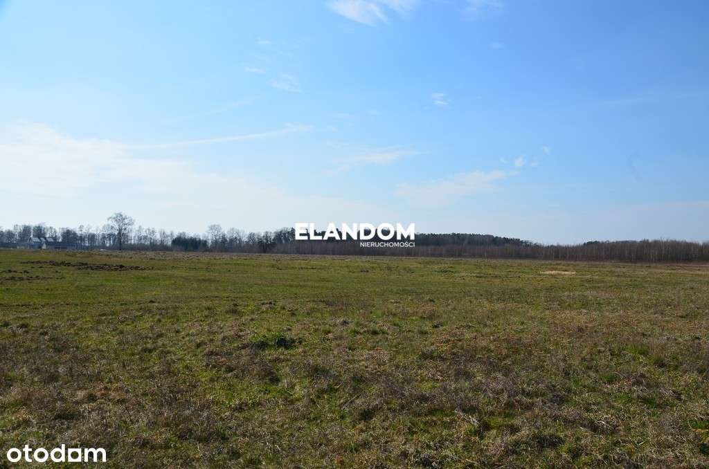 Duża działka z widokiem na las!! - Pełny obrazek: 4/8