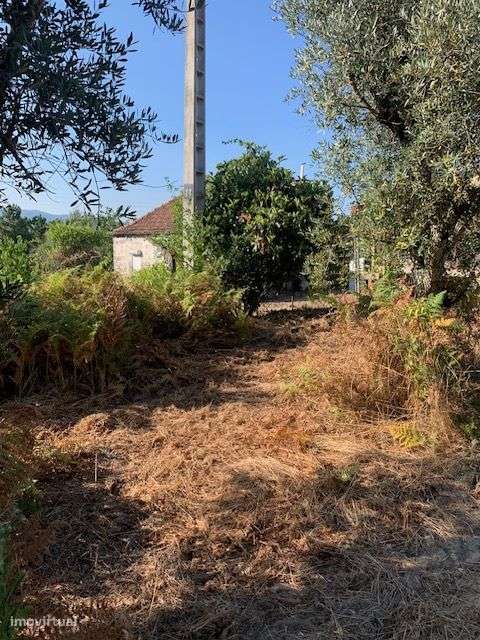 Quinta do Barreiro com 2 Casas para Recuperar-14