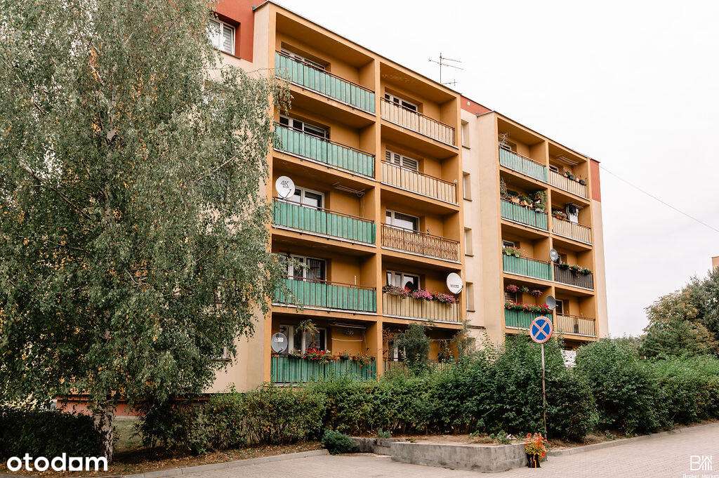 Mieszkanie 2-pokojowe 50,9 m²,  balkon, blok SM - Pełny obrazek: 1/12