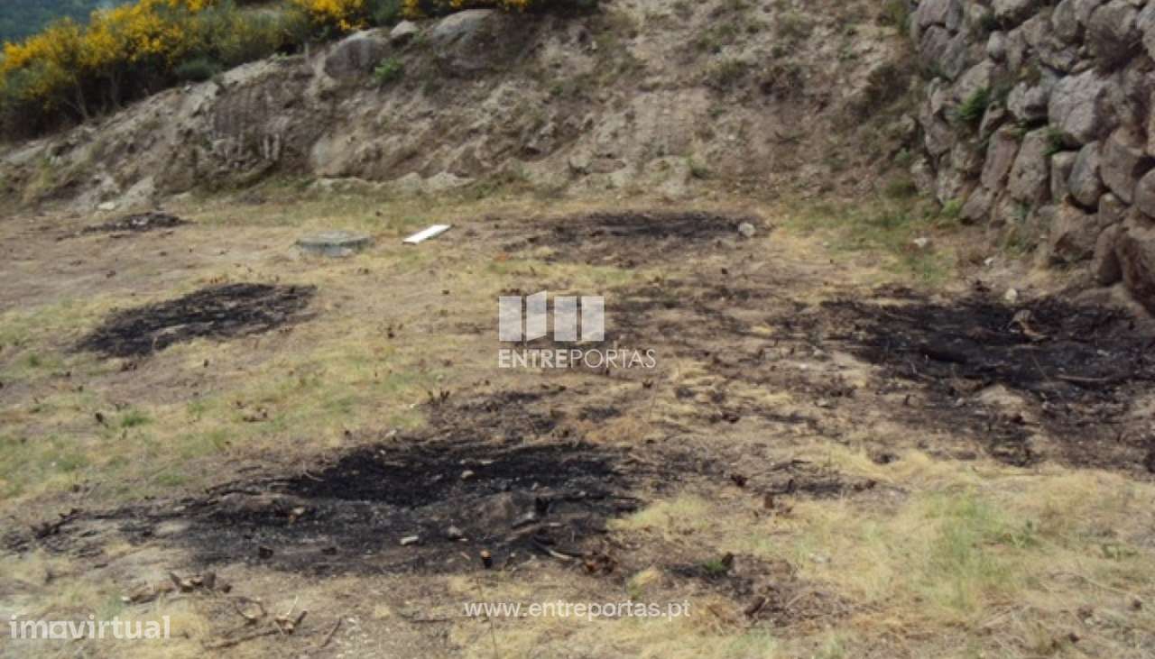 Venda Terreno, Soalhães, Marco de Canaveses - Grande imagem: 4/11