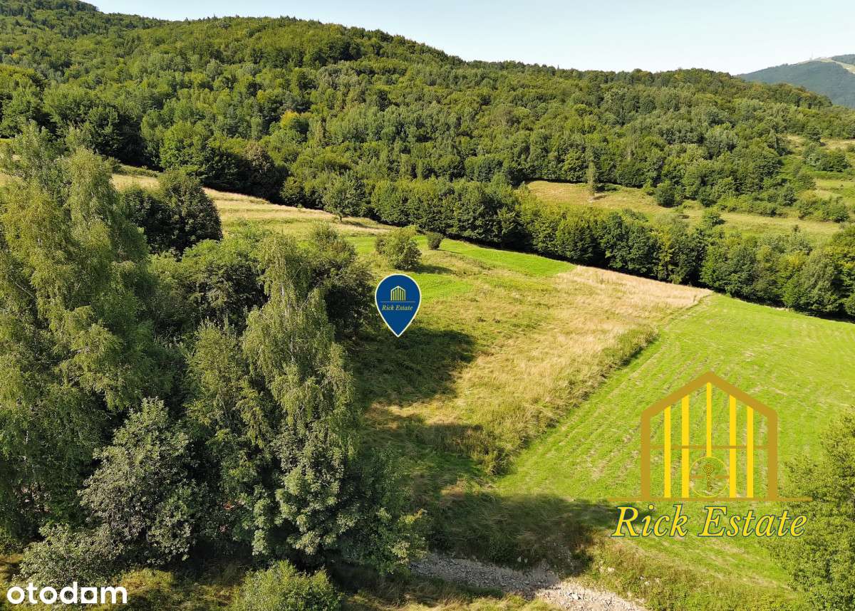 Oaza spokoju z górskim krajobrazem-7