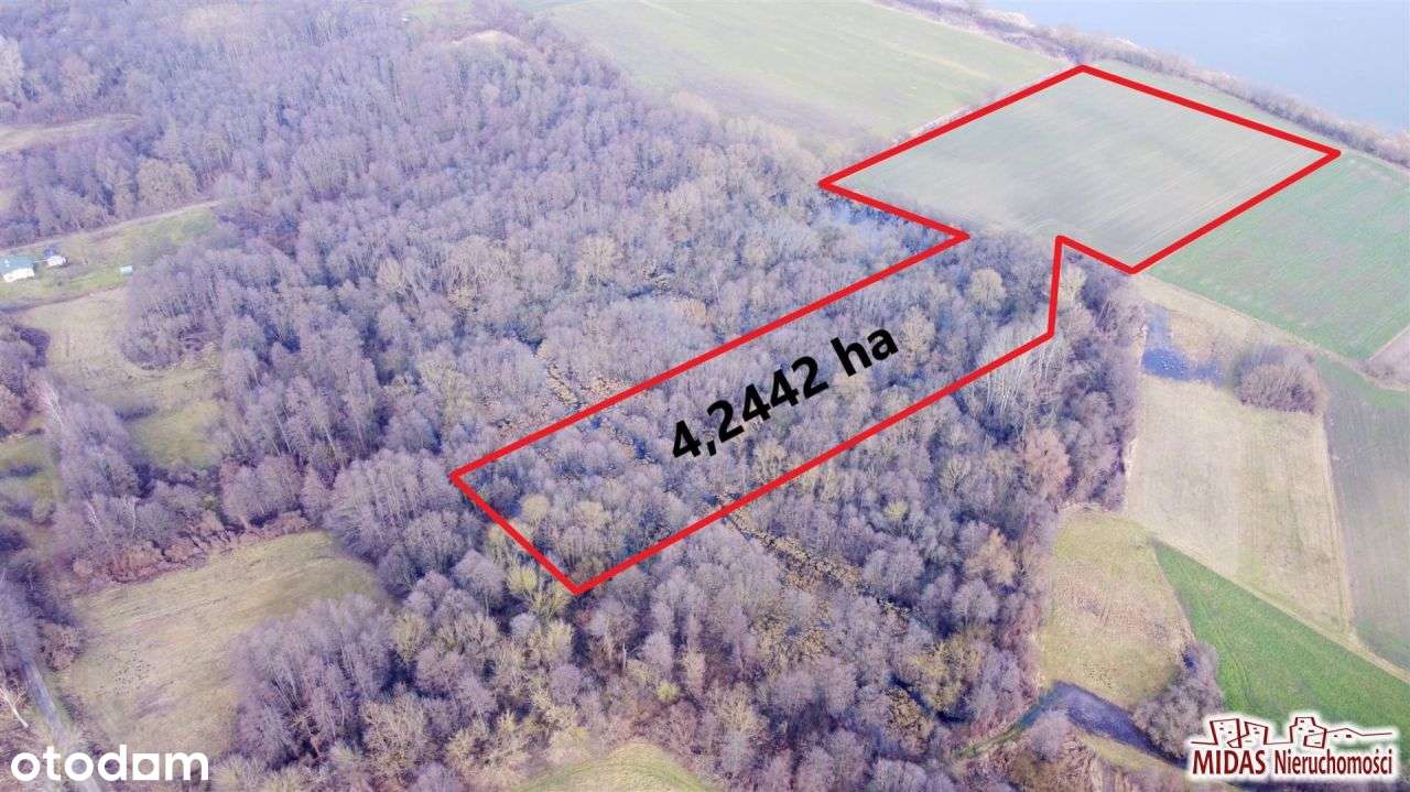 Działka rolno-leśna przy Wiśle