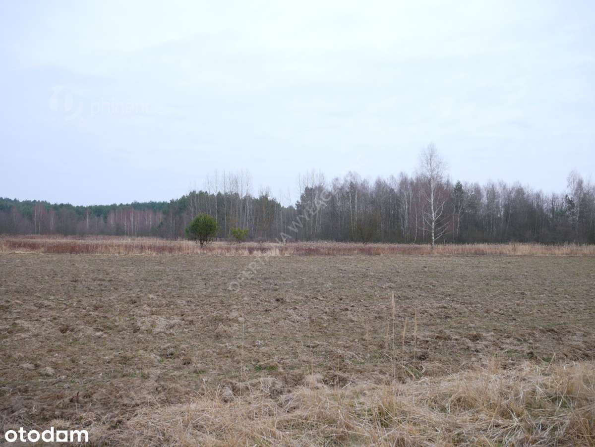 Działka 29,48 ar, rolno-budowlana z Wz, Grębów - Pełny obrazek: 5/8